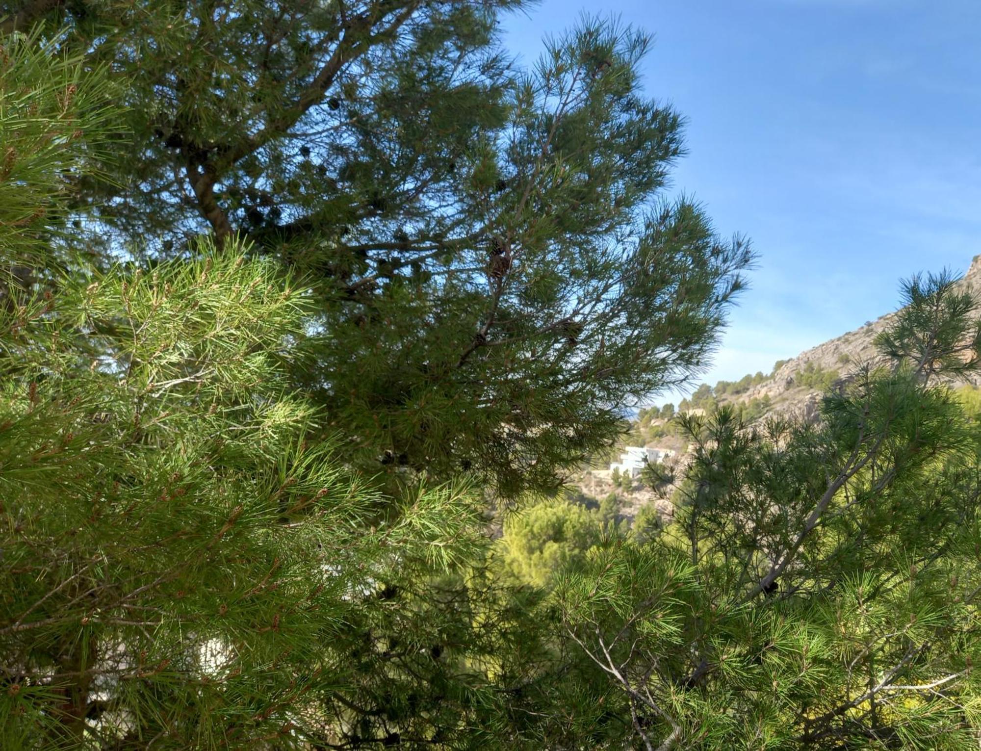 Townhouse Altea Hills Vila Exterior foto